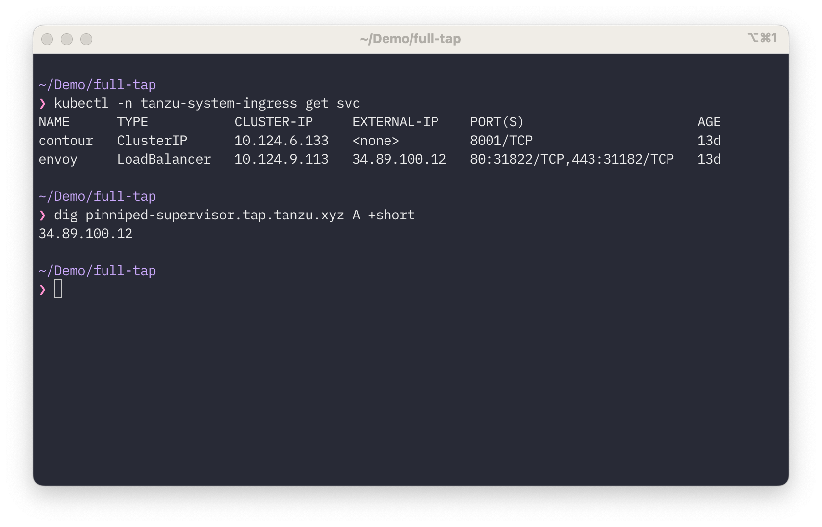 Screenshot of a terminal window showing the use of the `dig` command to confirm a DNS entry points to the Envoy Load Balancer