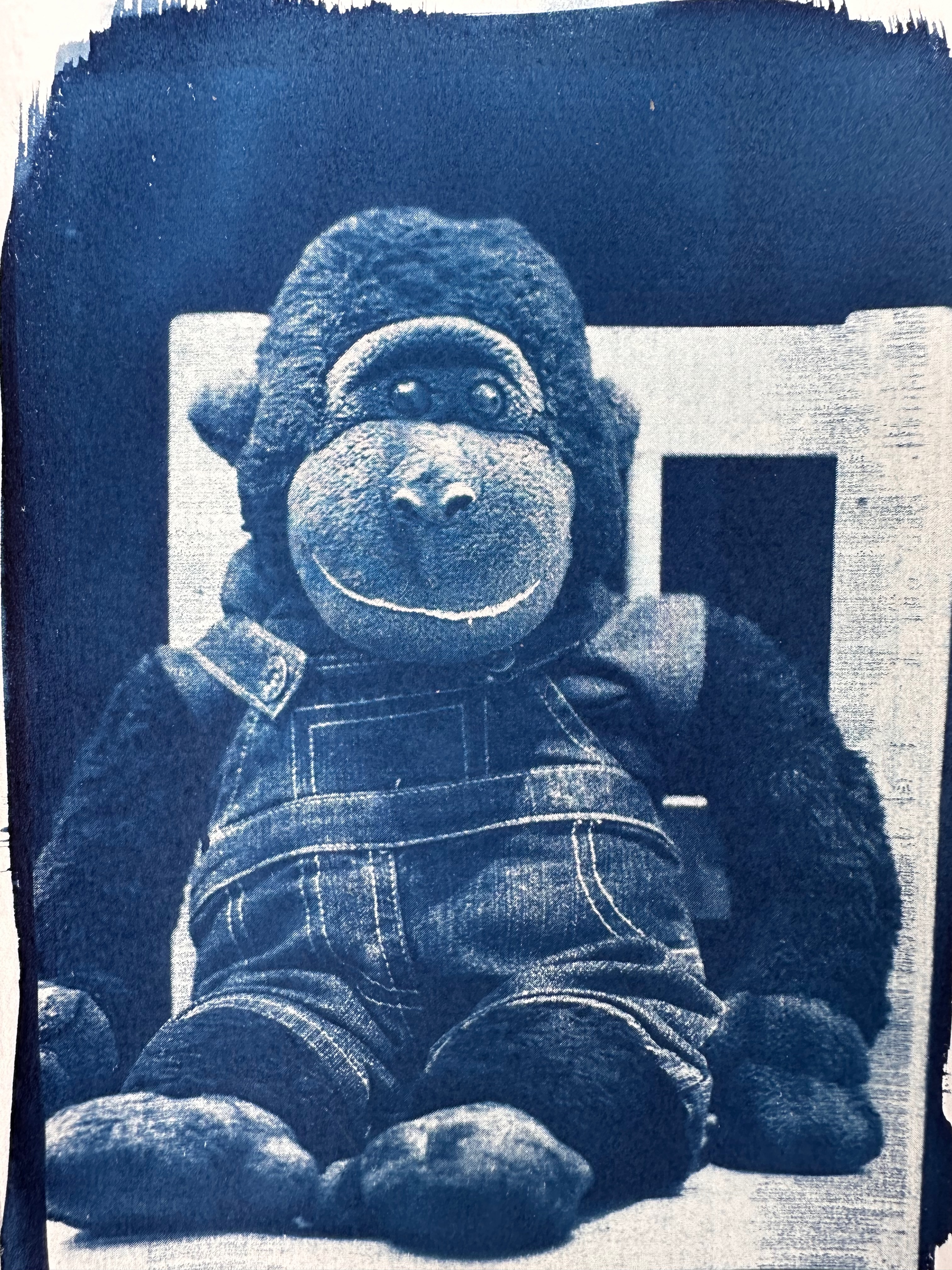 Monkey print made by developing a photo printed on transparency.