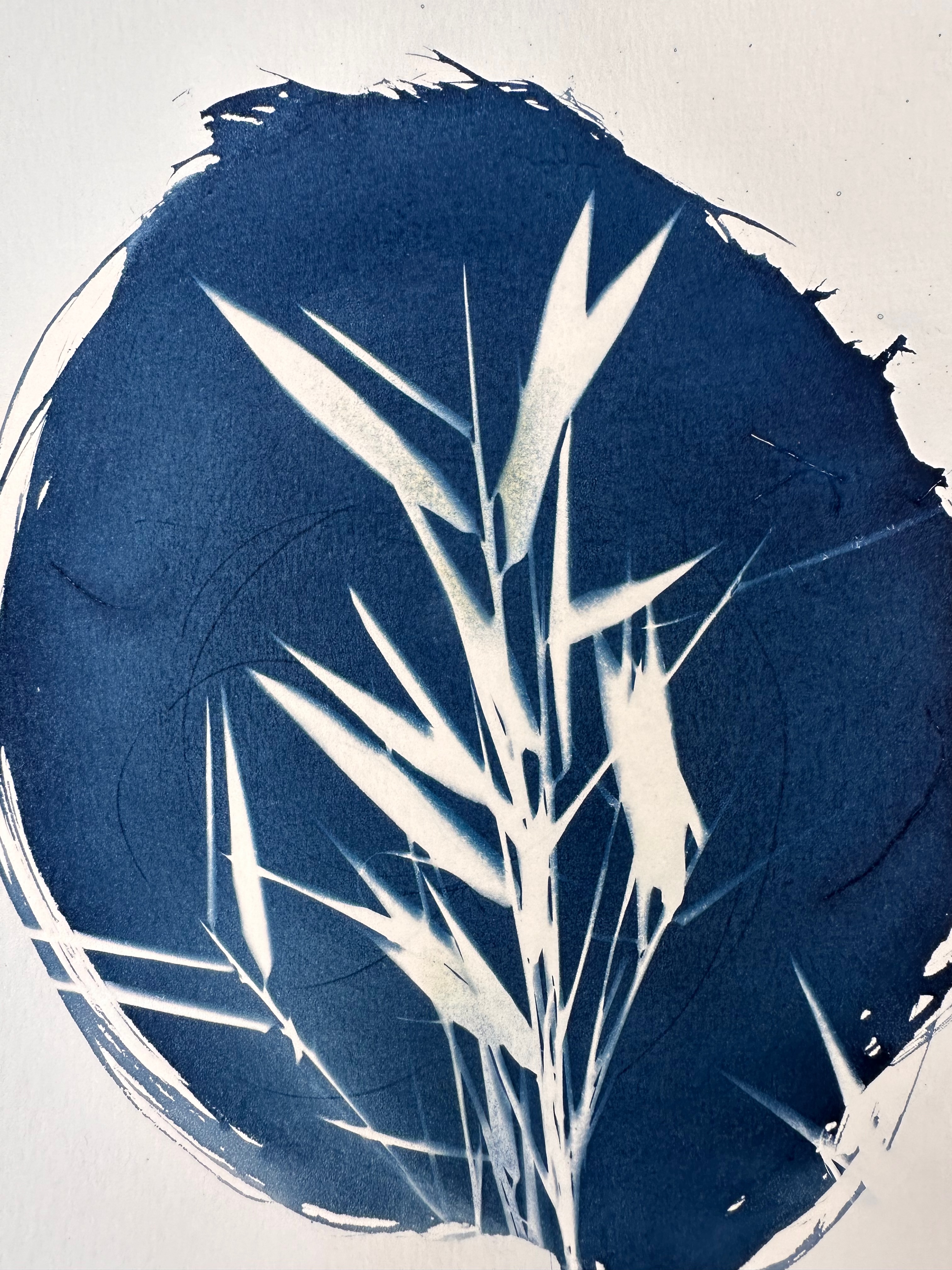 Bamboo leaves on a piece of paper where only an oval has been coated in sensitizer.