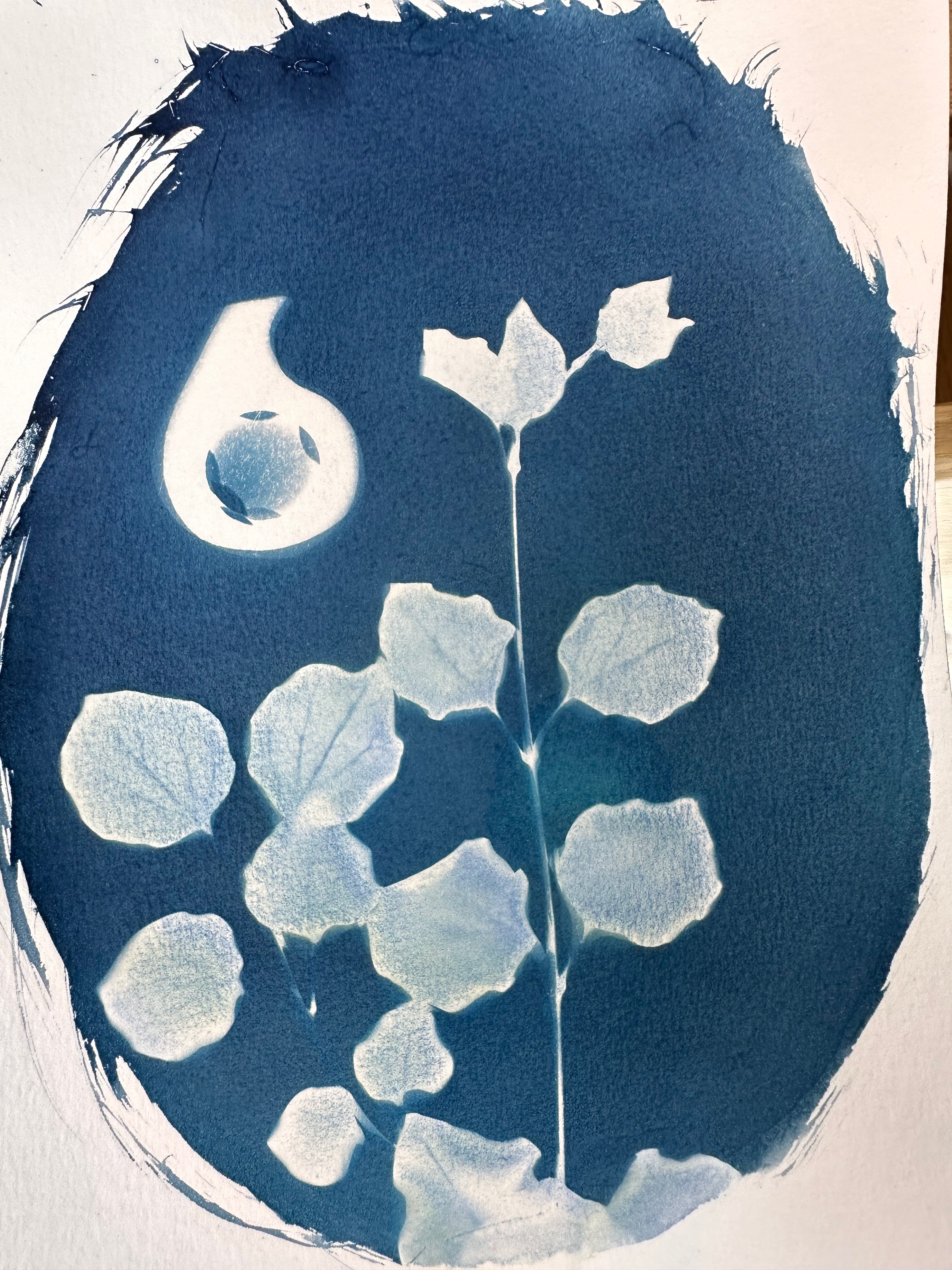 Leaves alongside the shaddow of a solid wooden block in the shape of the number 6.