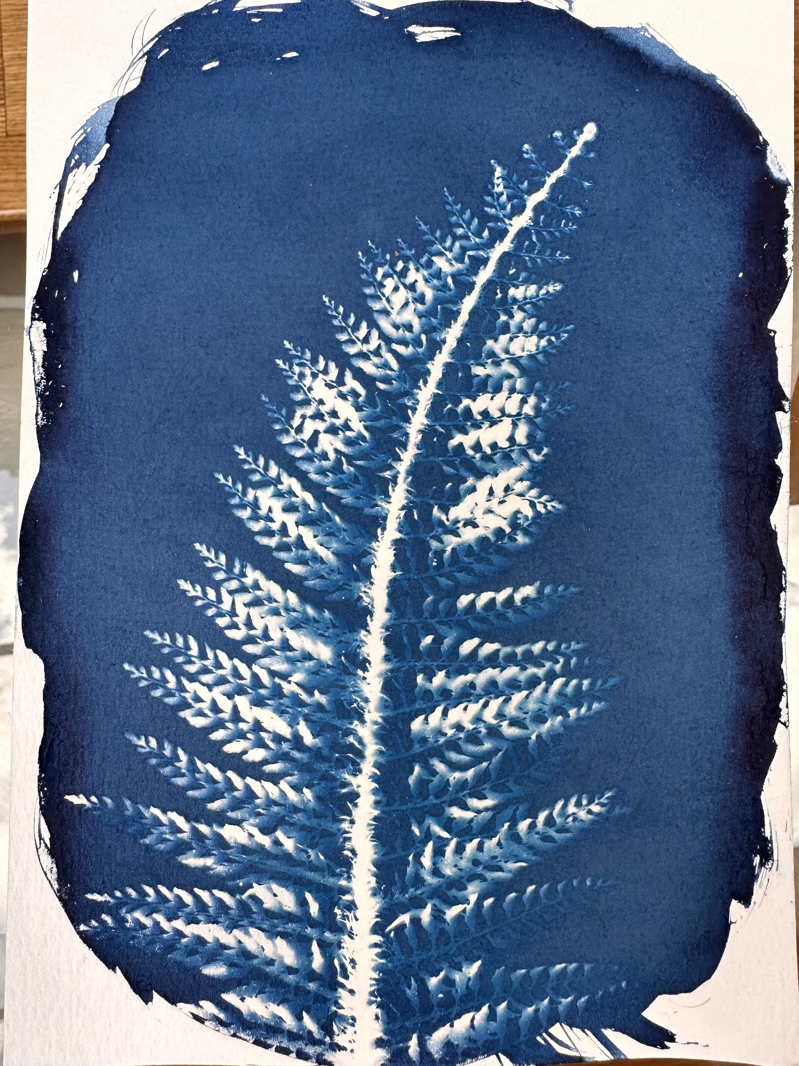 Fern on swirling brush strokes.