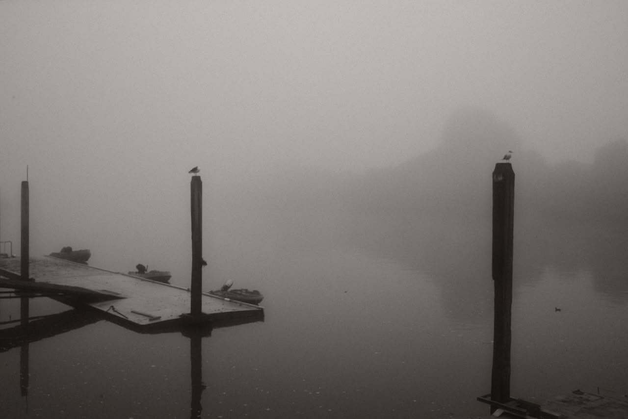 A black and white photo in dense fog. The photo shows a river, with a jetty in the foreground. Through the fog the outline of trees can be seen on the far bank.