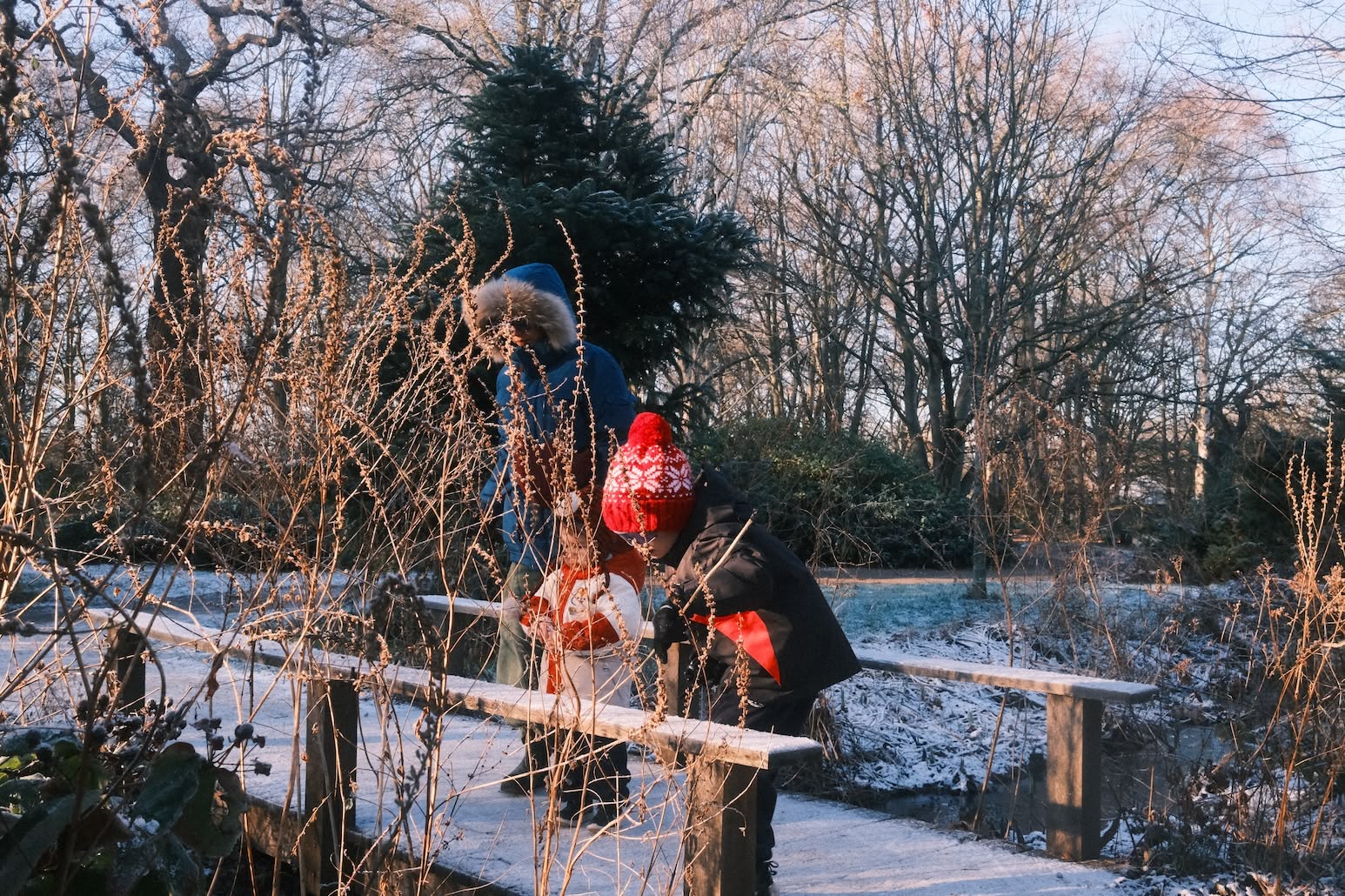 a person and two children stand on a frost covered bridge looking down into a stream, their faces obscured by dry branches