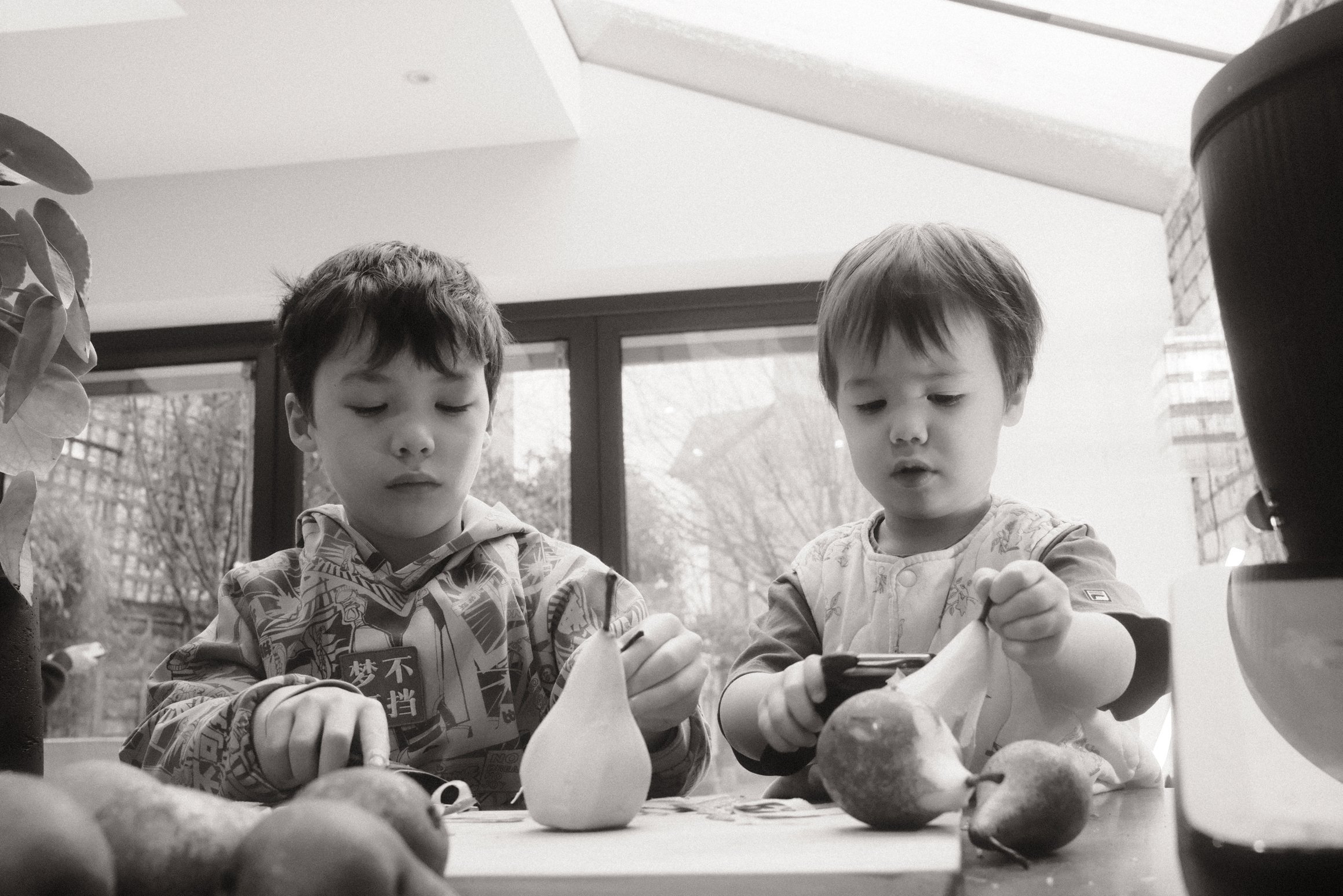 A black and white photo showing two boys peeling pears.