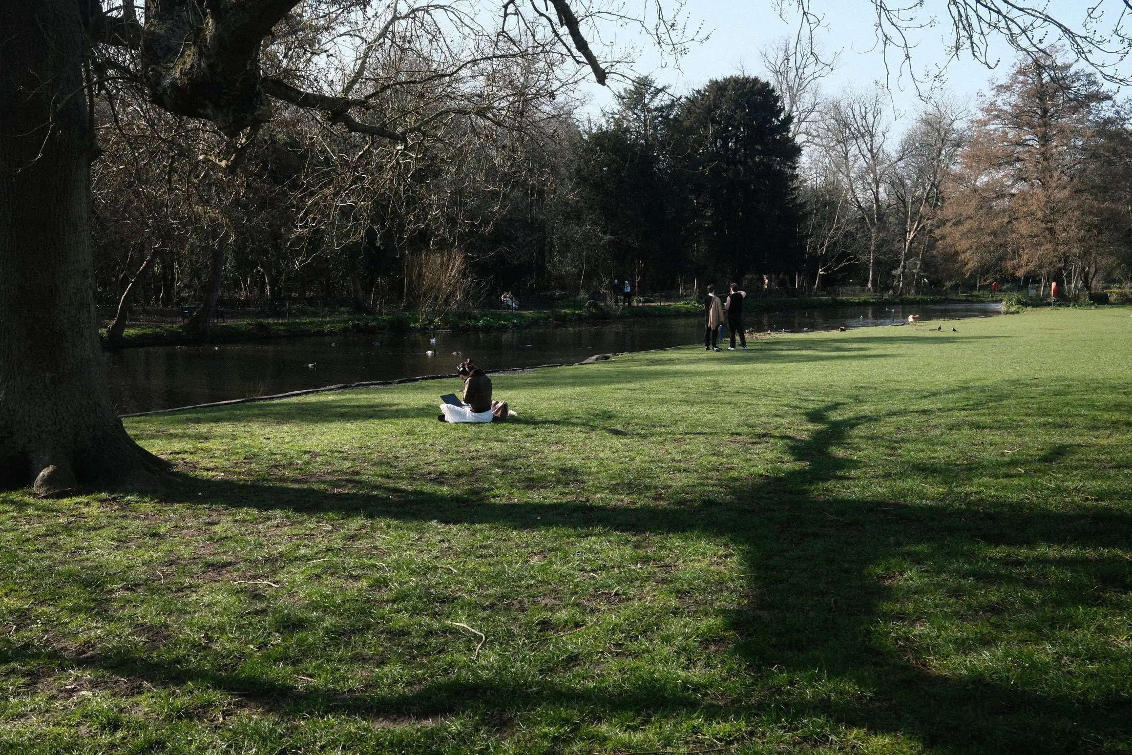 A person sits on the grass headphones on, focussed on their laptop.