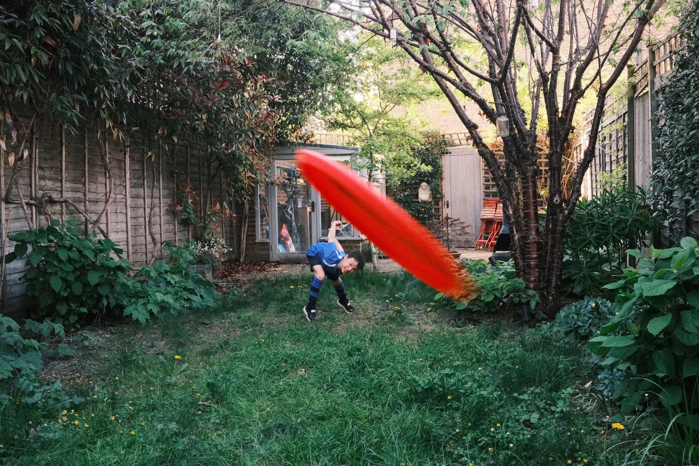 a photo looking down the length of a garden, a red frisbee about to hit the camera, in the background a boy is bent over in the follow through after throwing the frisbee