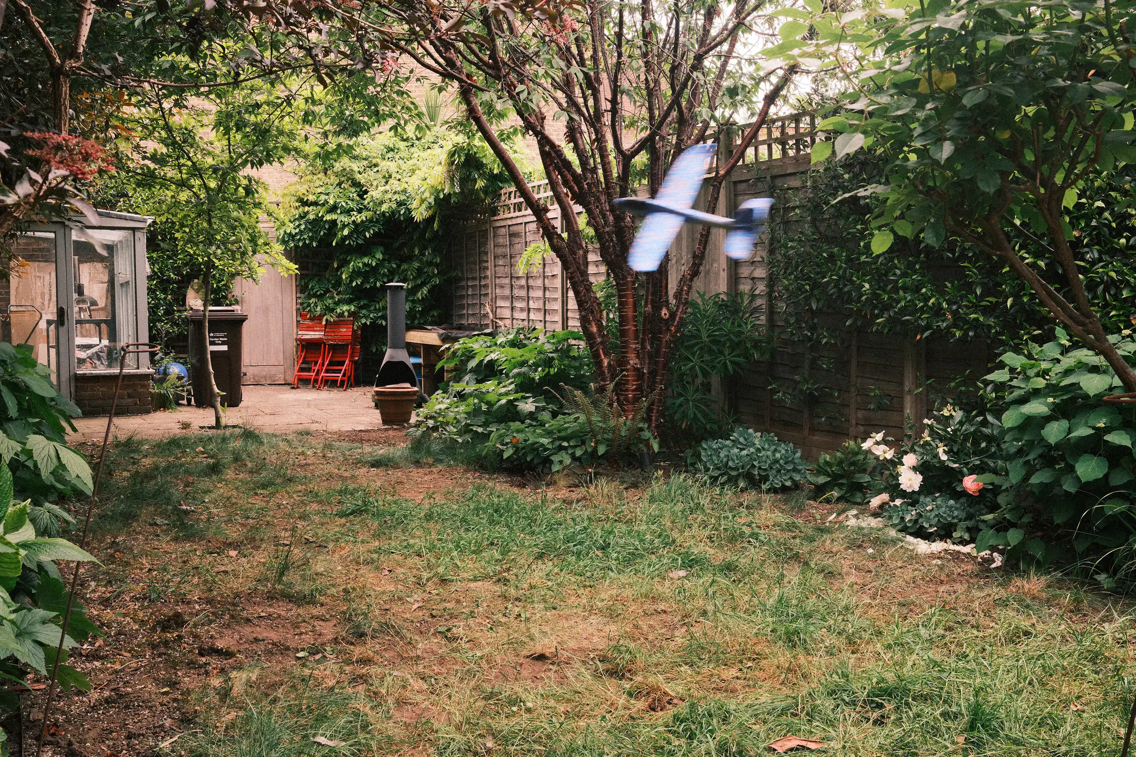 a photo of a garden, the blurred image of a toy plane captures it in mid flight across the lawn