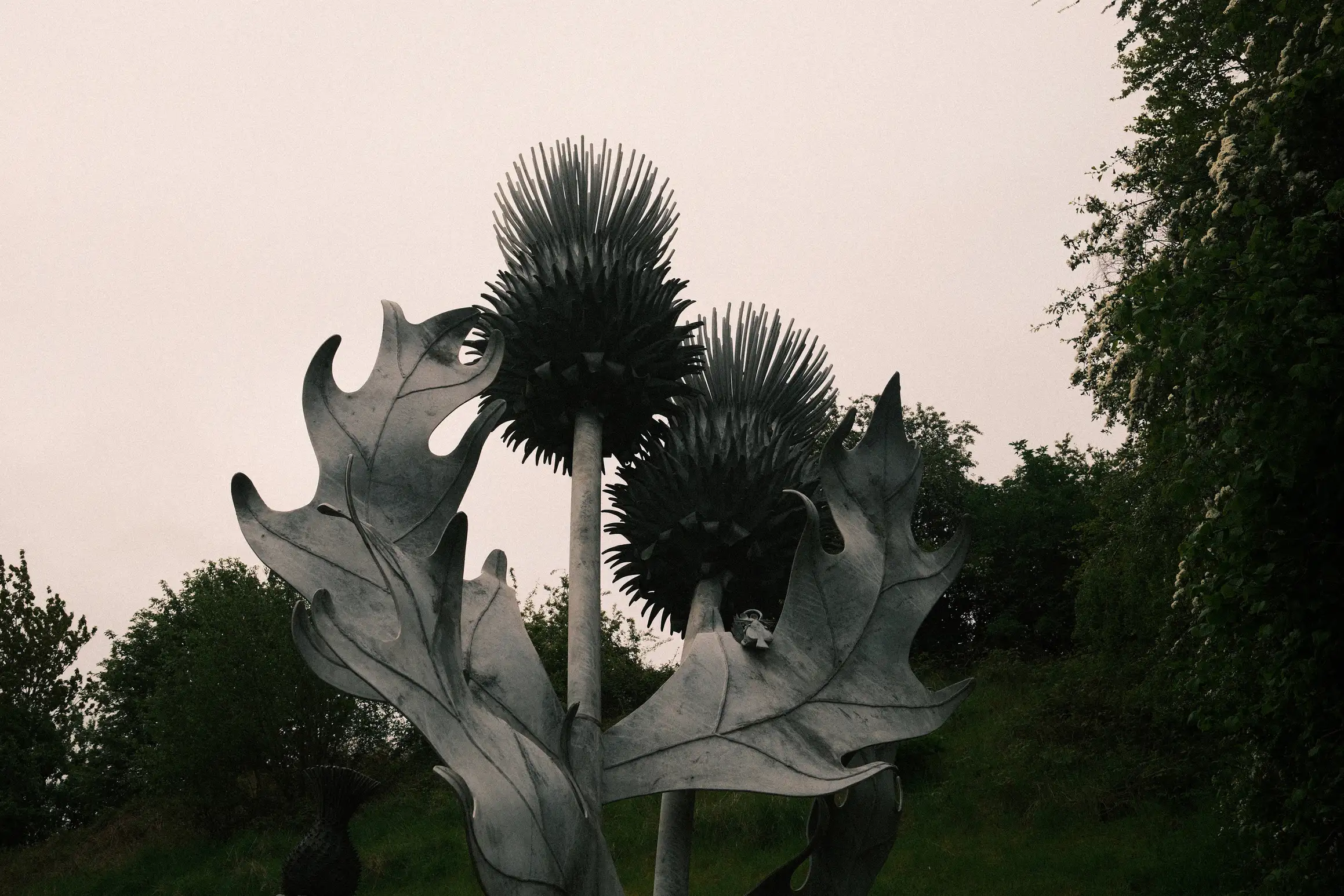 a sculpture of a thistle
