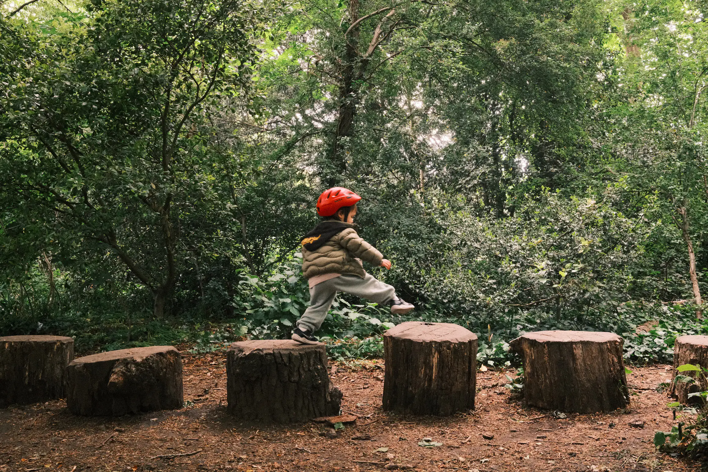 a young boy reaches out to step between two logs
