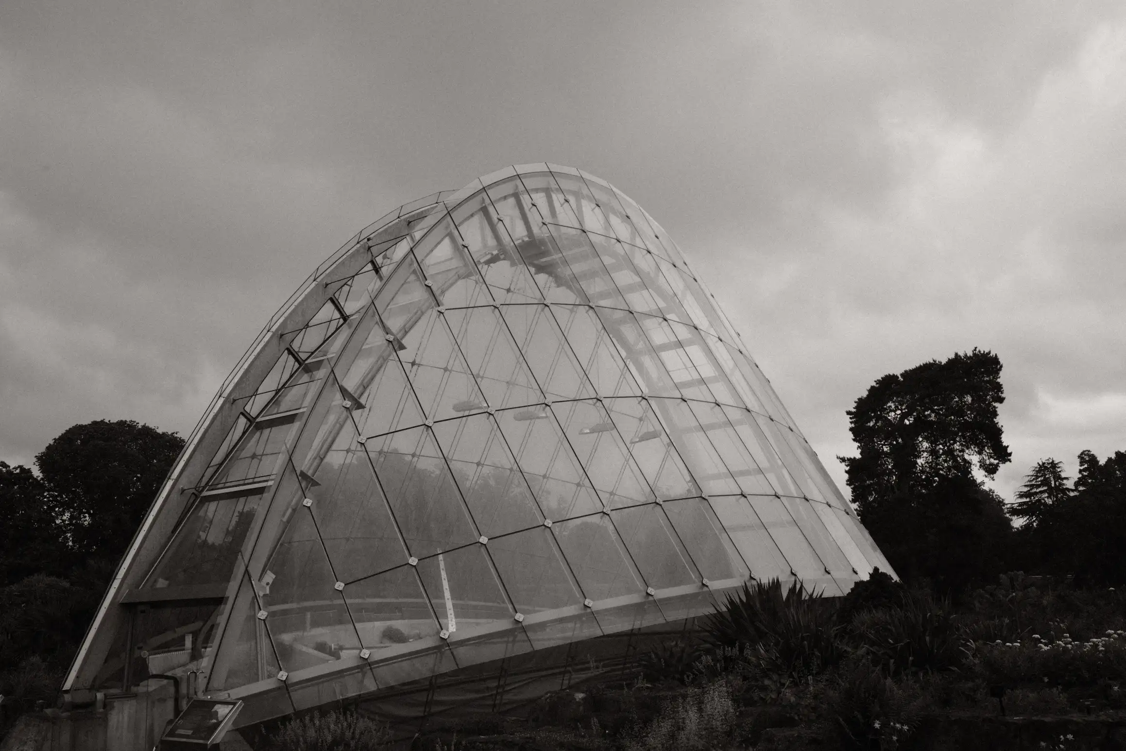 A black and white photo of Alpine House at Kew Gardens, the narrow semicircular building is made of glass and steel.