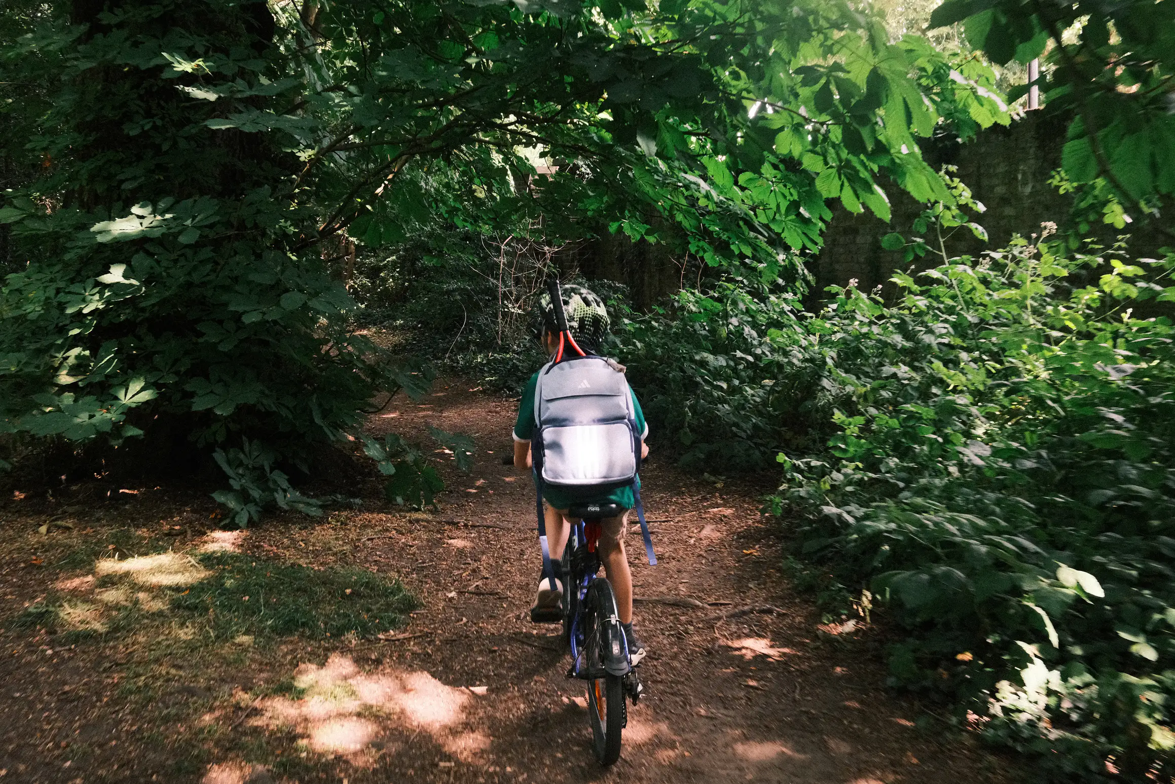 a boy cycles along a wooded trail on his bike
