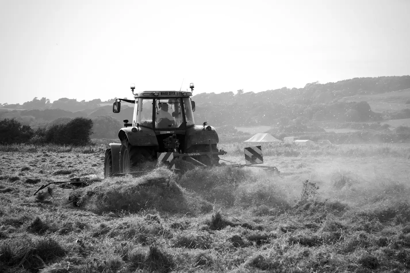 A black and white photo of a tractor gathering dried grass. The dust kicked up results in a hazy image.