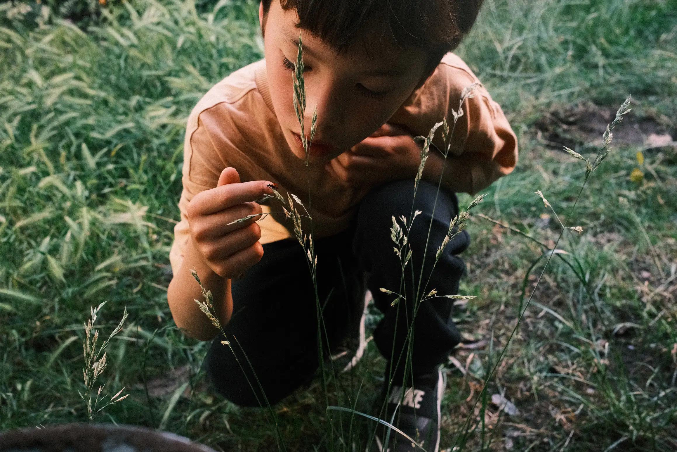 A young boy kneels down, holding his hand to a blade of grass, a ladybird climbs from the grass onto his hand.