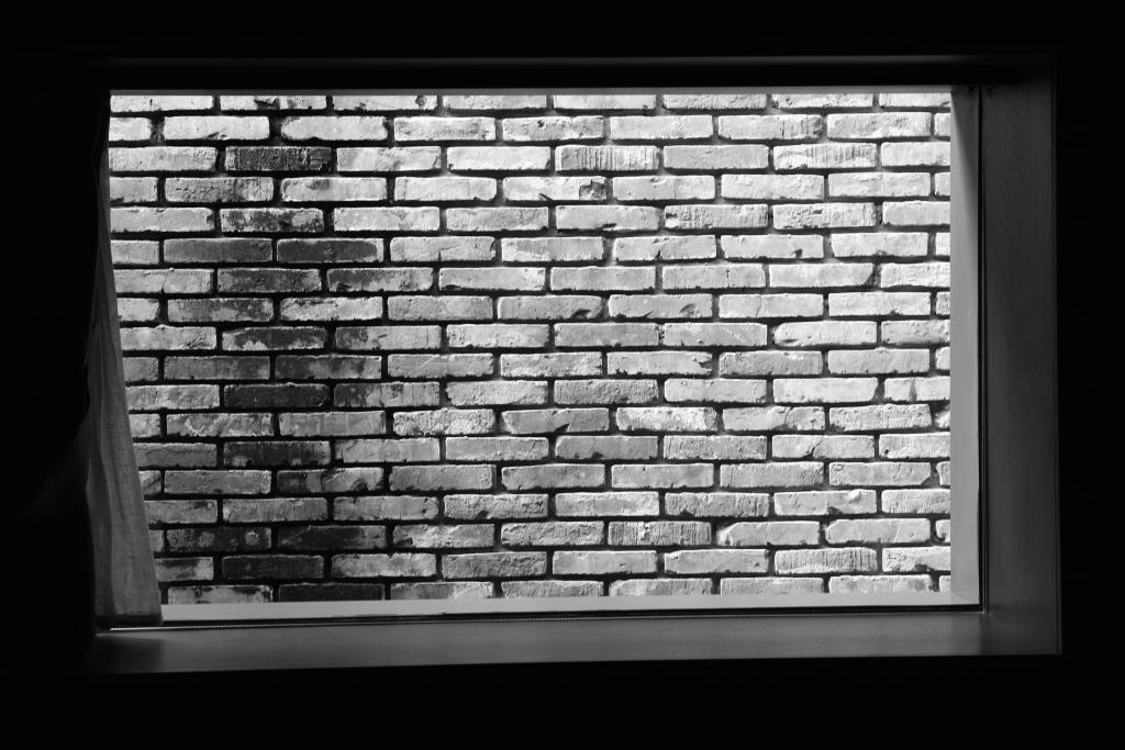 A black and white photo of a brick wall. The photo was taken through our bedroom window in bright sunlight.