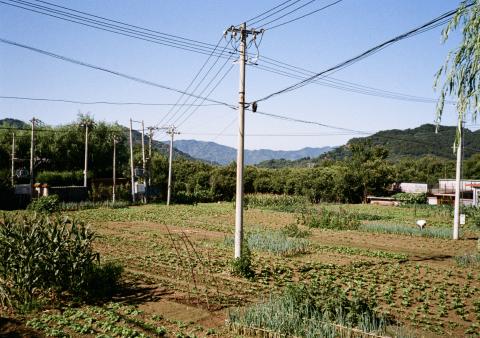 A photo looking out over a small farm in 北沟村, a village north of Beijing. Against a mountainous backdrop, a mixture of crops grow in the field; corn, leafy vegetables and wild garlic. A lone farmer can be seen to the right of the image. A telegraph pole supporting a network of wires stands in the middle of the field.