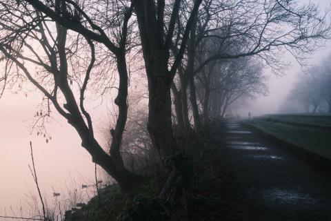 A morning walk along the river