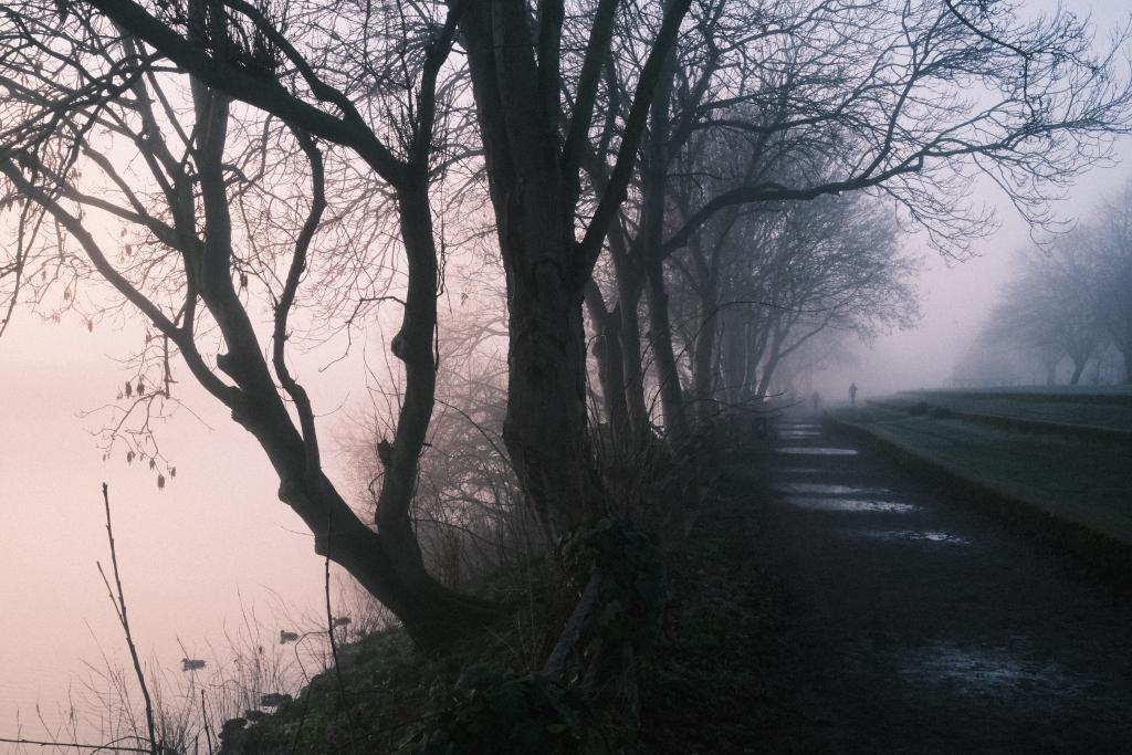 A morning walk along the river